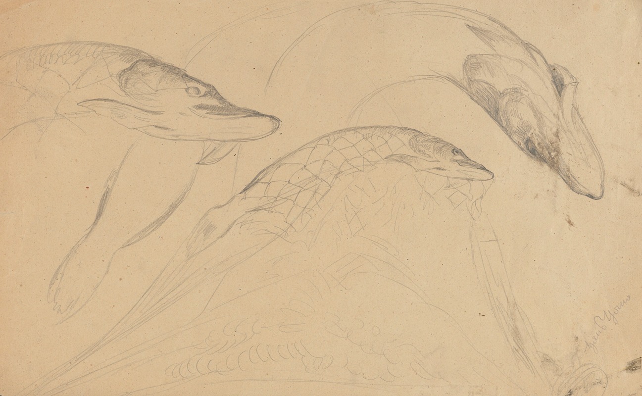 Hans Thoma - Study of Fish (Pikes)