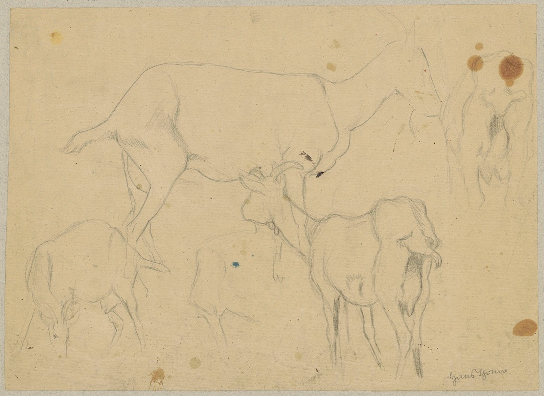 Hans Thoma - Study of goats