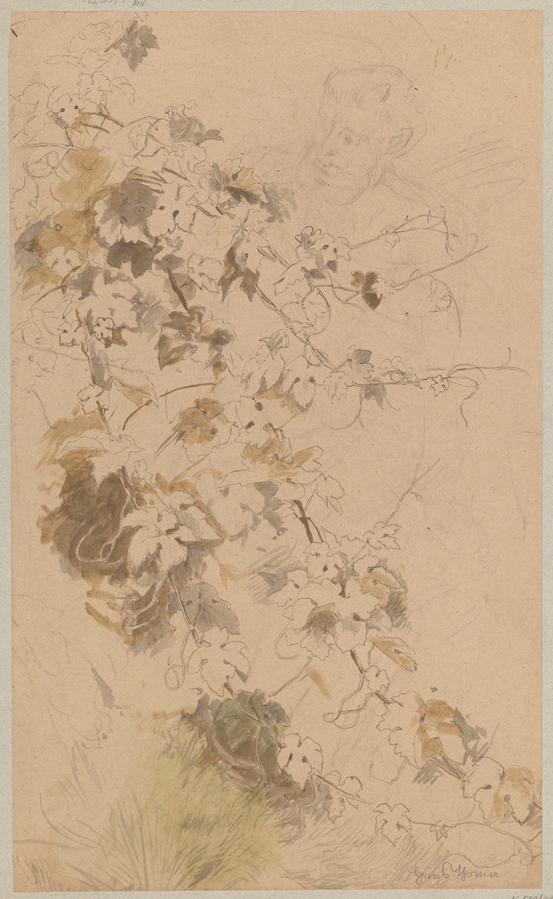 Hans Thoma - Study of ivy; contour of satyr’s head