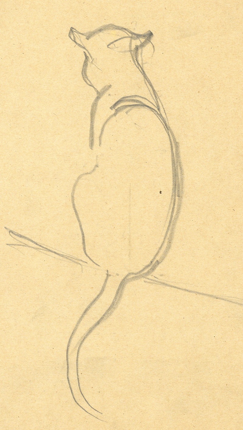 Albert Daenens - Dieren