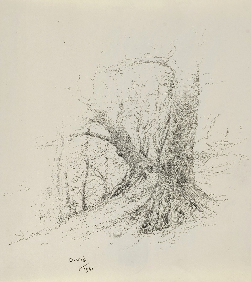 Dirk Vis - Bergen – Wimmenum – zware bomen aan de duinrand