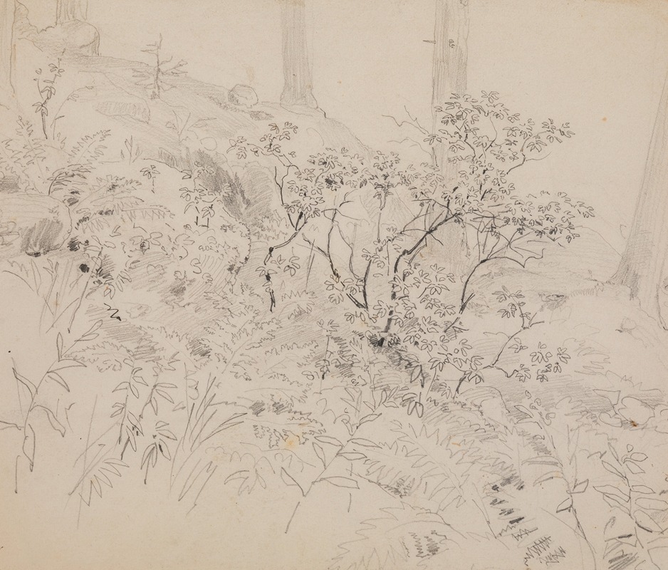 Paul Huet - Study of foliage in a wood