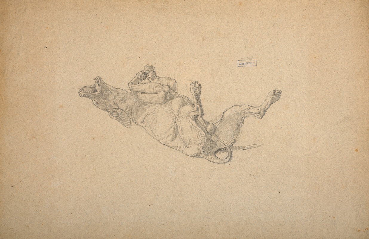 William Bouguereau - Study of dog