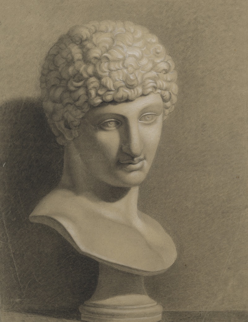 Anonymous - Bust of Antinous