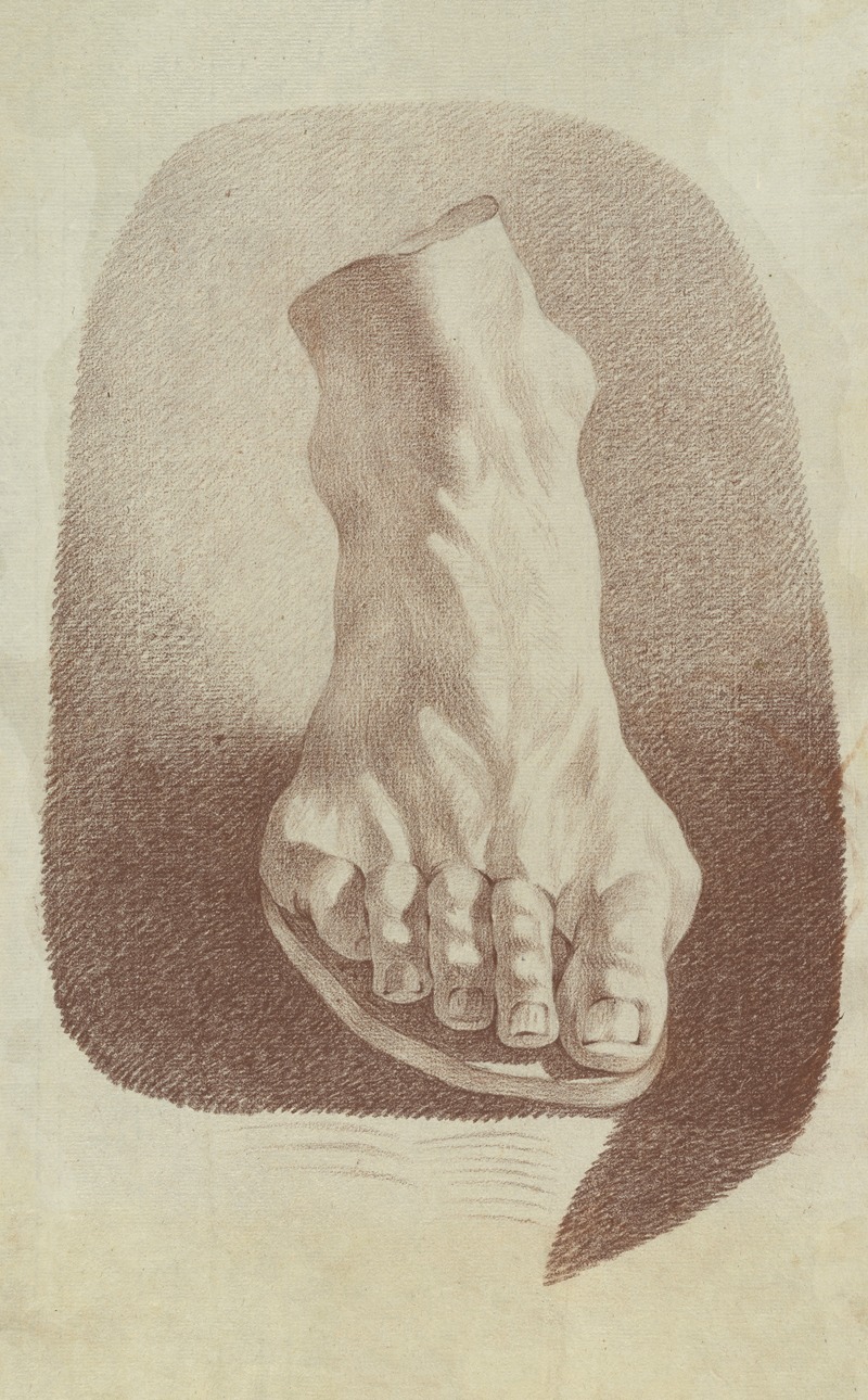 Anonymous - Foot of Laocoön