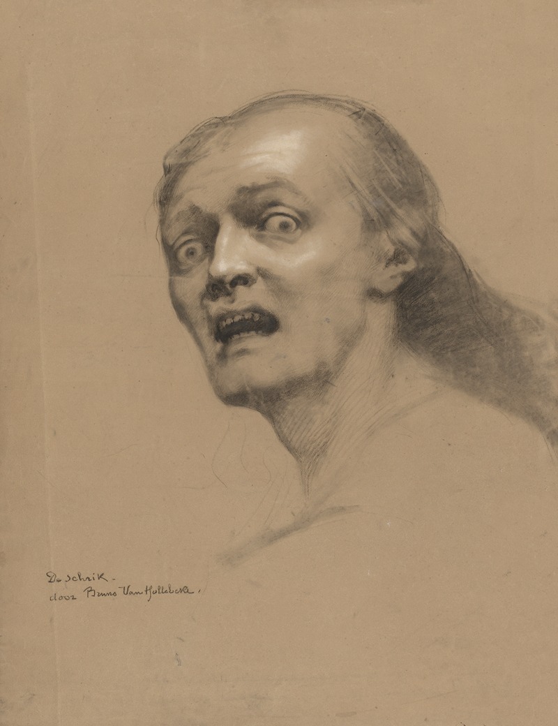 Bruno Van Hollebeke - Academic expression study: fright