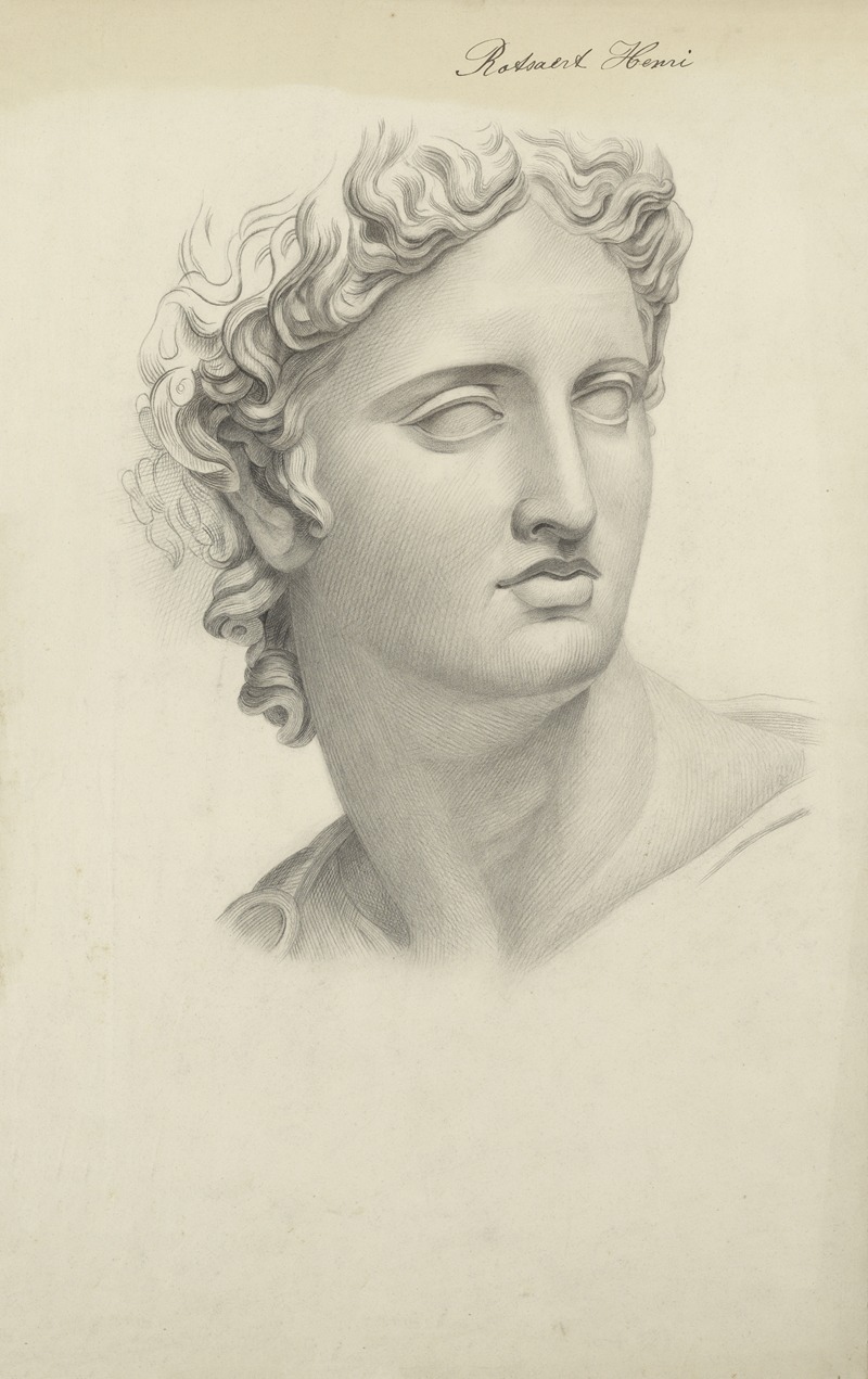 Henri Rotsaert - Head of Apollo Belvedere