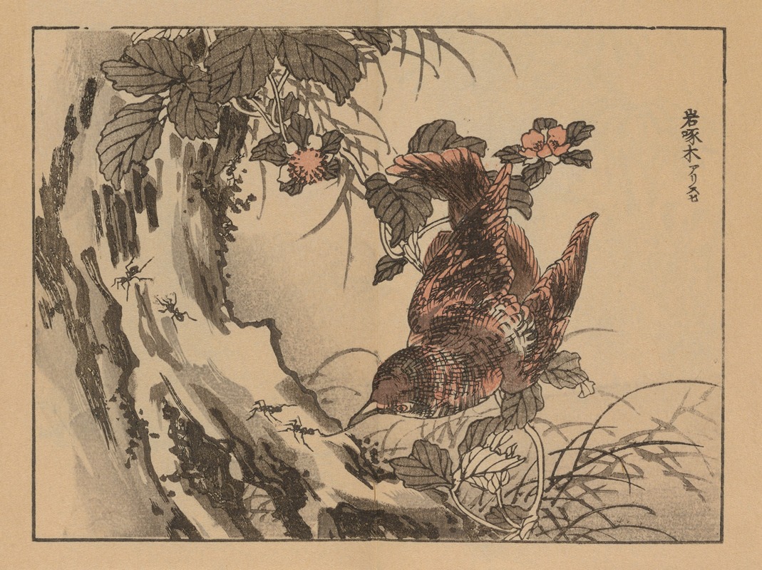 Kōno Bairei - Bairei gafu, Pl.11