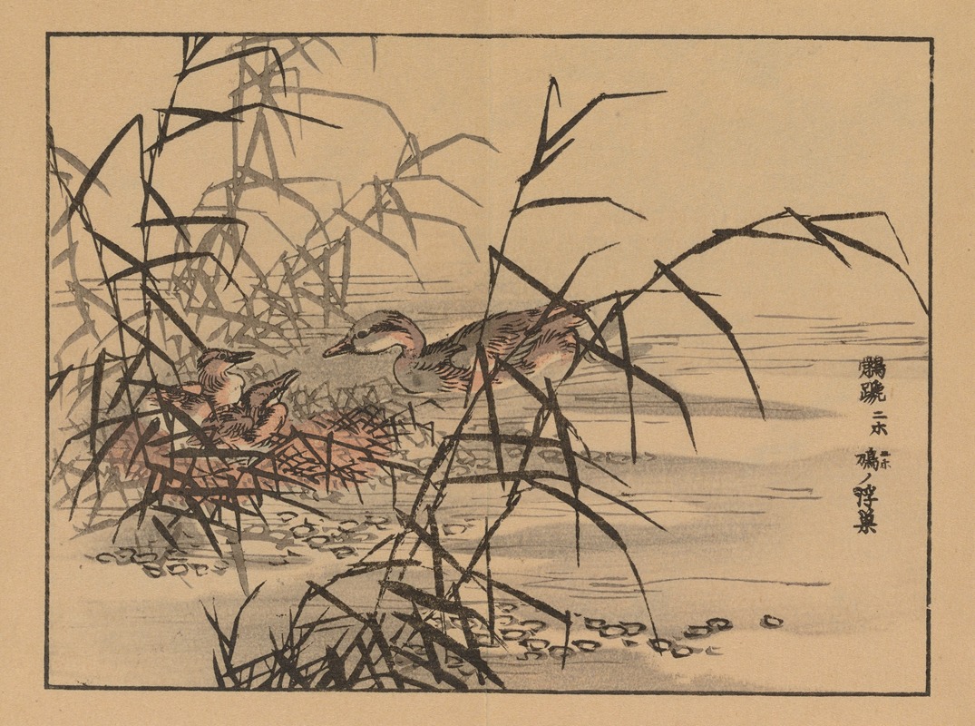 Kōno Bairei - Bairei gafu, Pl.14