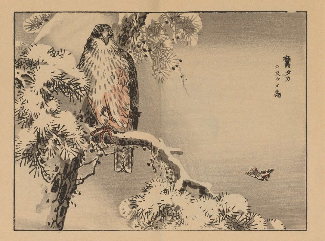 Kōno Bairei - Bairei gafu, Pl.24
