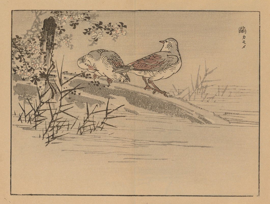Kōno Bairei - Bairei gafu, Pl.31