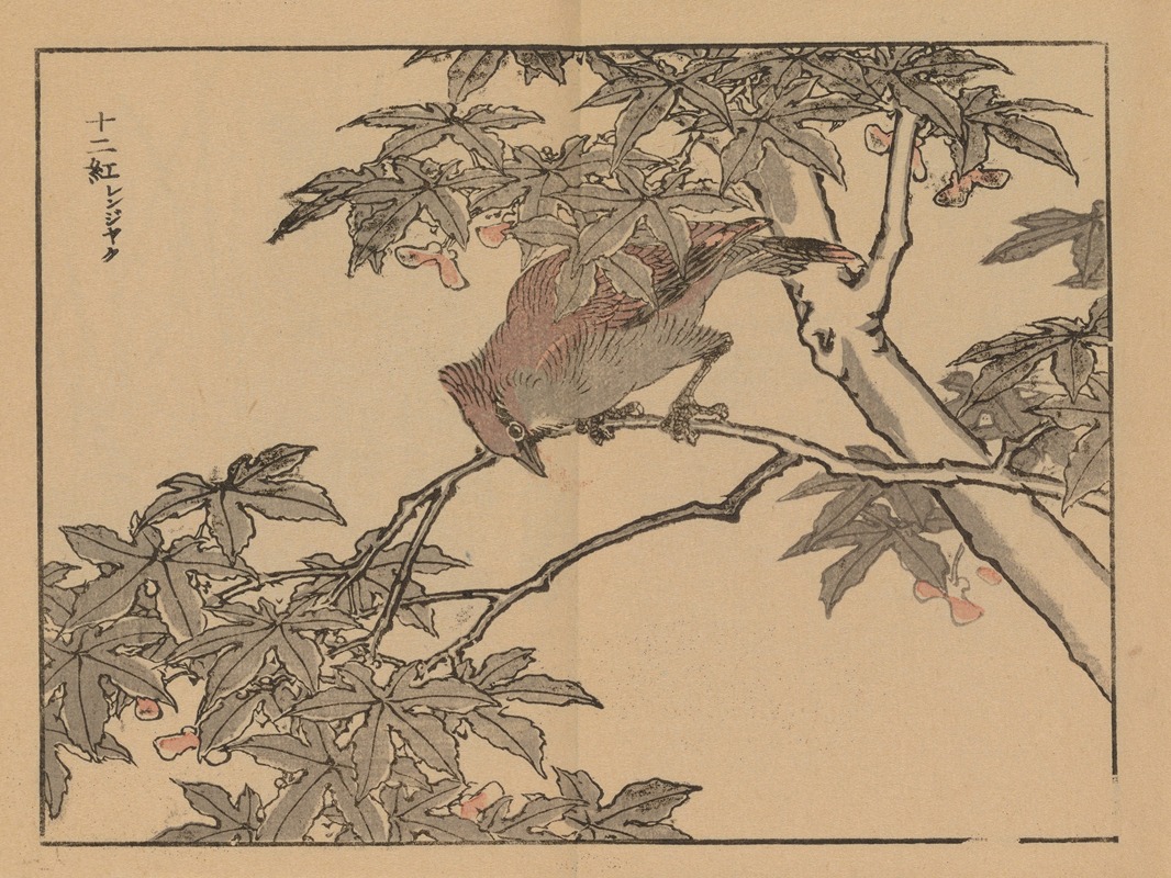 Kōno Bairei - Bairei gafu, Pl.32