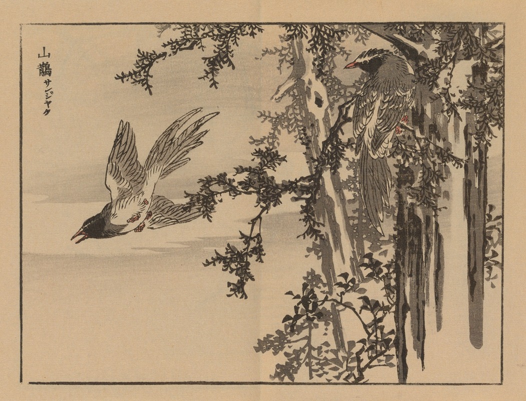 Kōno Bairei - Bairei gafu, Pl.34