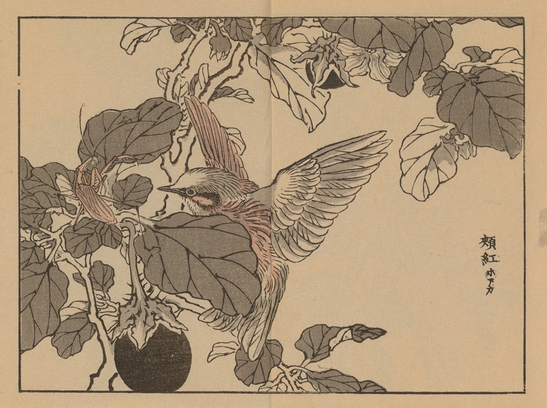 Kōno Bairei - Bairei gafu, Pl.38