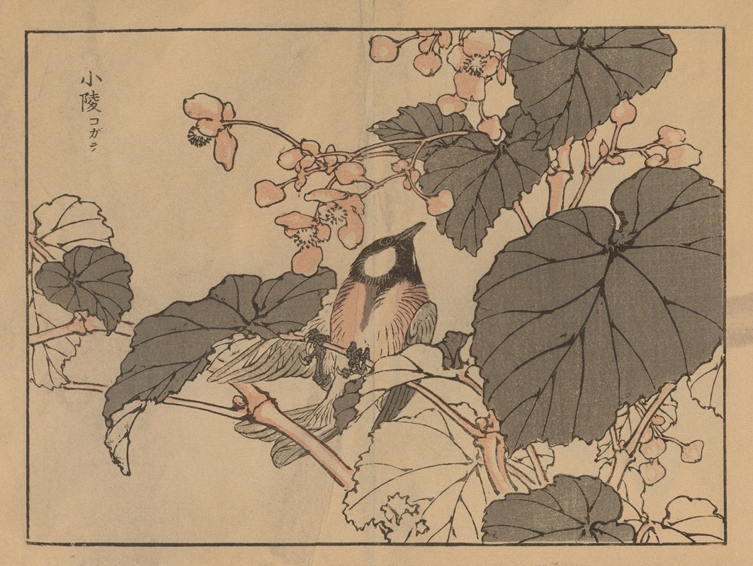 Kōno Bairei - Bairei gafu, Pl.39