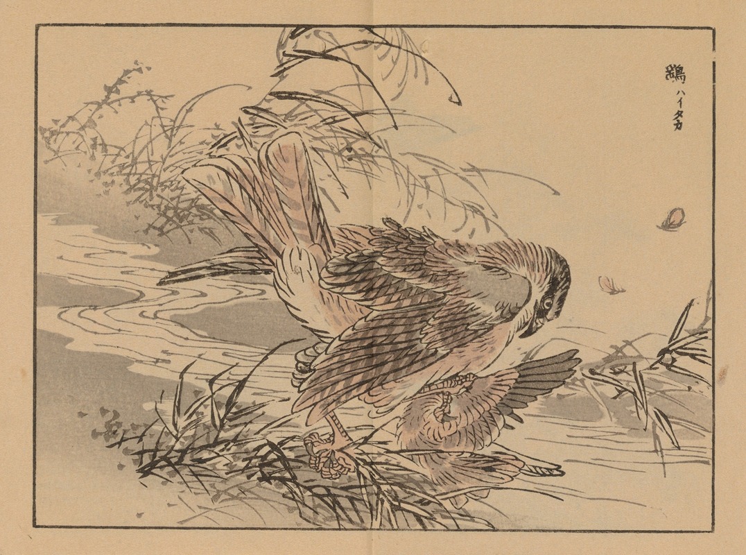 Kōno Bairei - Bairei gafu, Pl.46