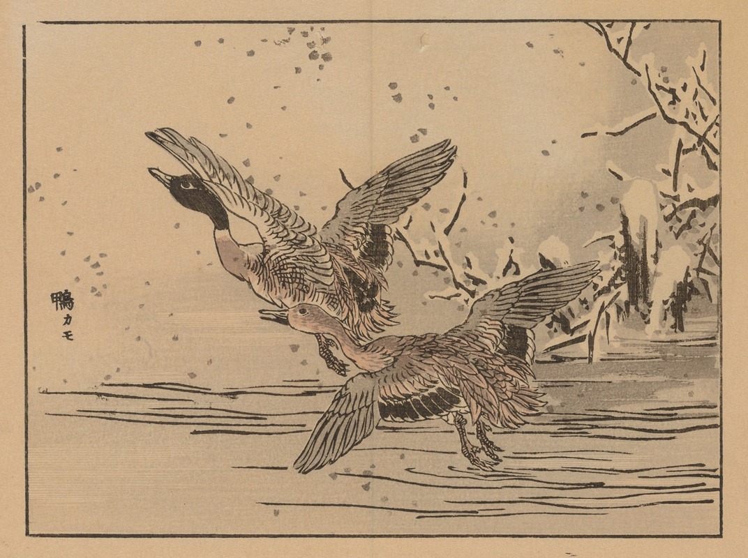 Kōno Bairei - Bairei gafu, Pl.47