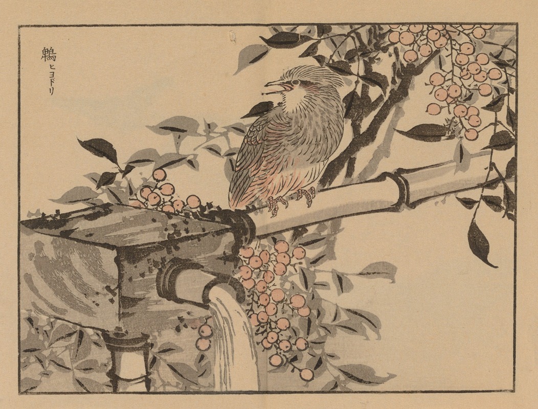 Kōno Bairei - Bairei gafu, Pl.49