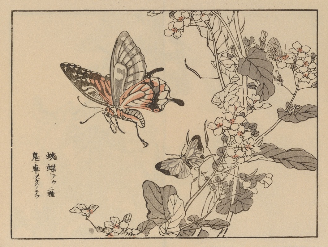 Kōno Bairei - Bairei gafu, Pl.51