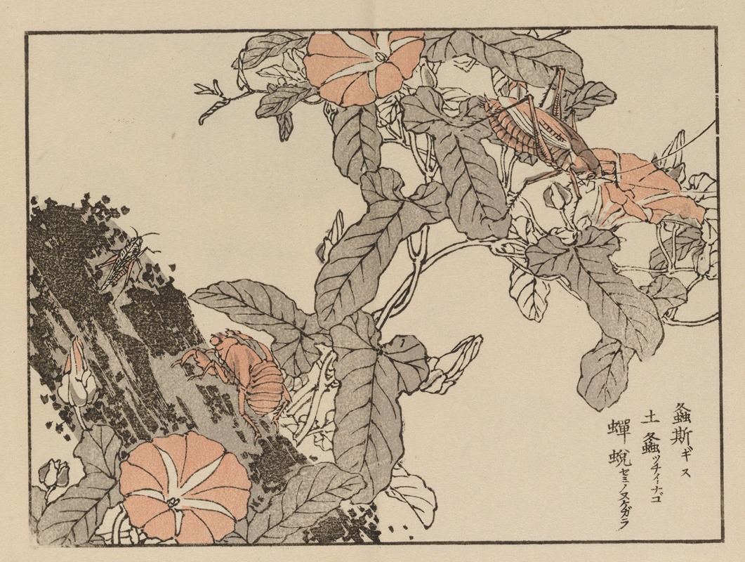 Kōno Bairei - Bairei gafu, Pl.54