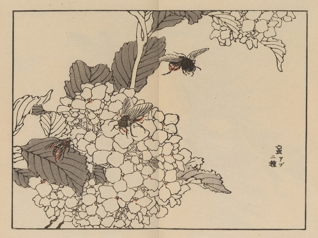 Kōno Bairei - Bairei gafu, Pl.59