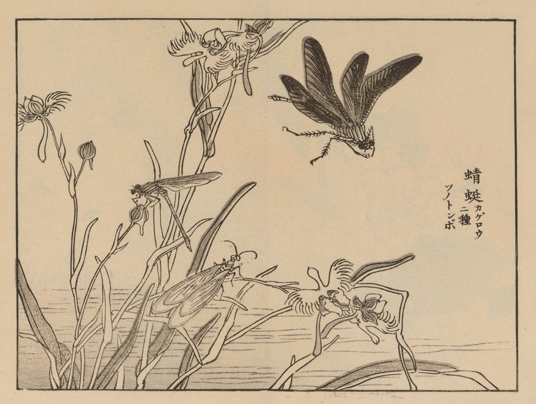 Kōno Bairei - Bairei gafu, Pl.60