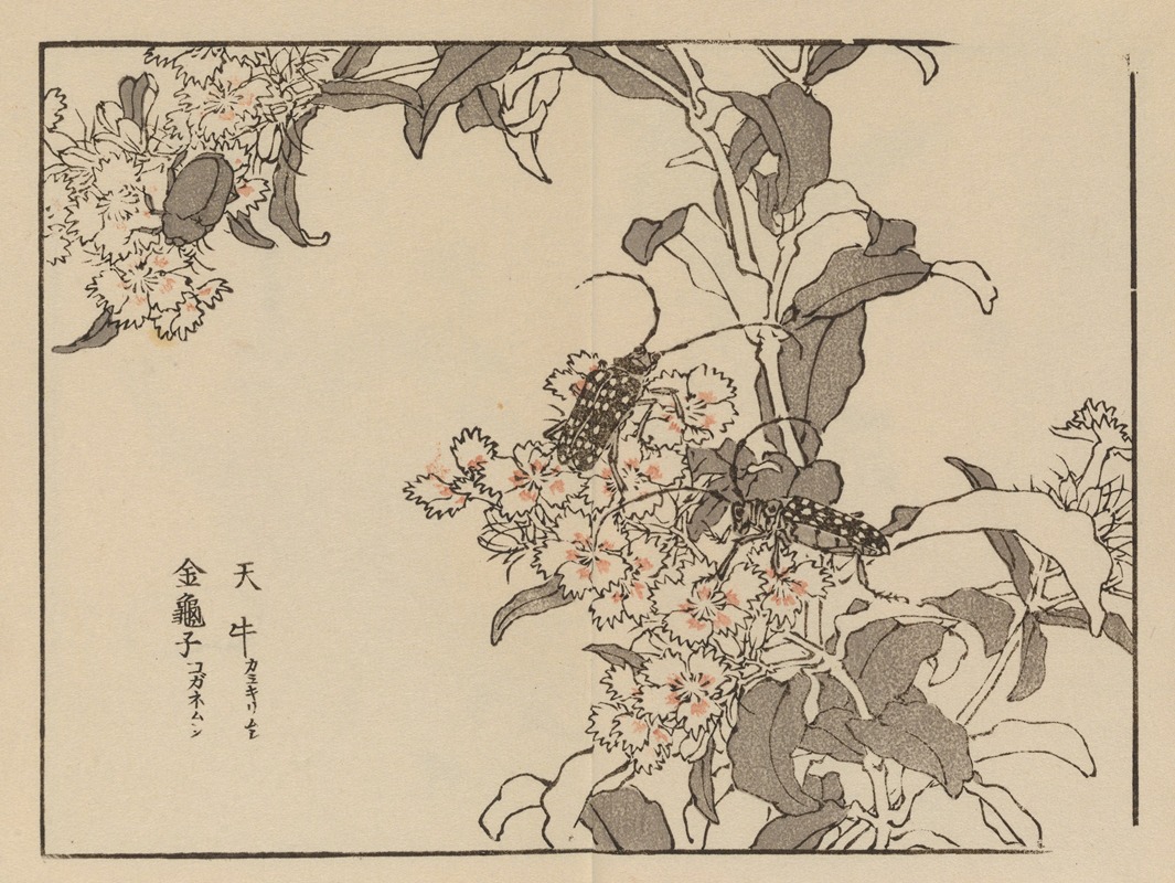 Kōno Bairei - Bairei gafu, Pl.61