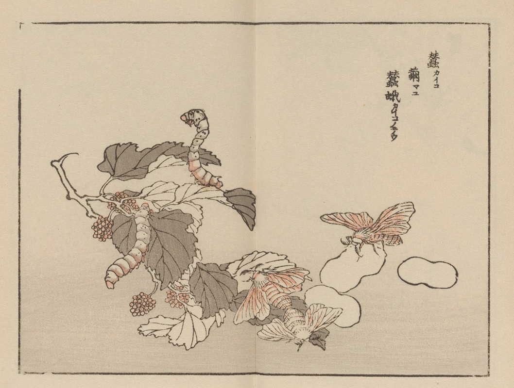 Kōno Bairei - Bairei gafu, Pl.62