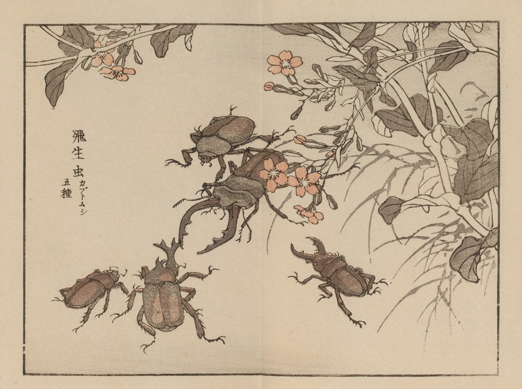 Kōno Bairei - Bairei gafu, Pl.64