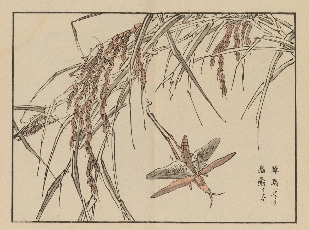 Kōno Bairei - Bairei gafu, Pl.72