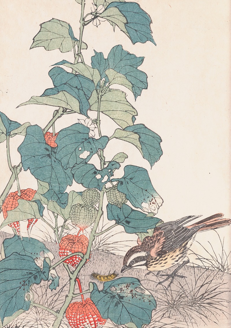 Imao Keinen - Keinen kachō gafu, Pl.37