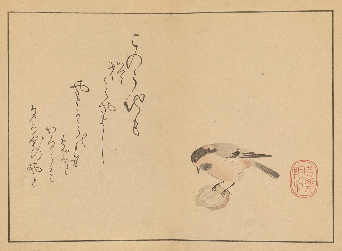 Sakai Hōitsu - Sakai Hōitsu gajō, Pl.17