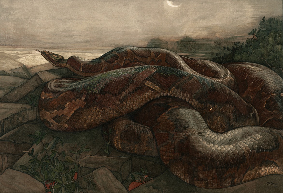Maurice And Edward Detmold - Kaa The Python