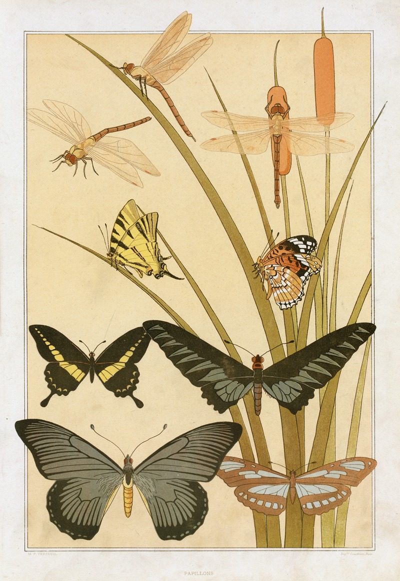 Maurice Pillard Verneuil - Papillons