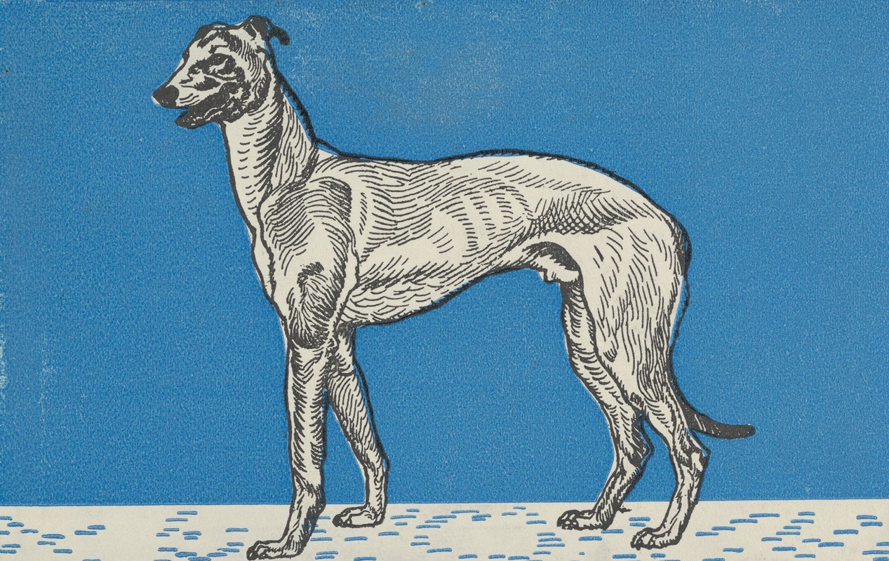 Moriz Jung - Greyhound