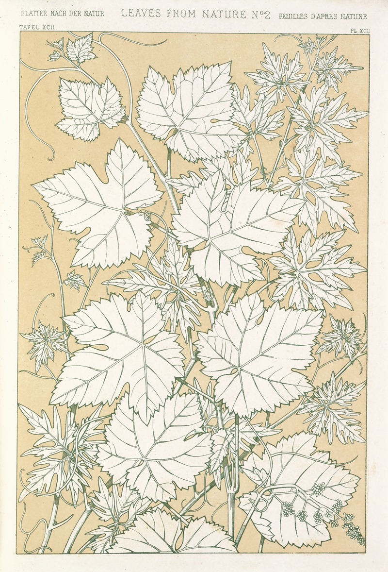 Owen Jones - Leaves from Nature No.2