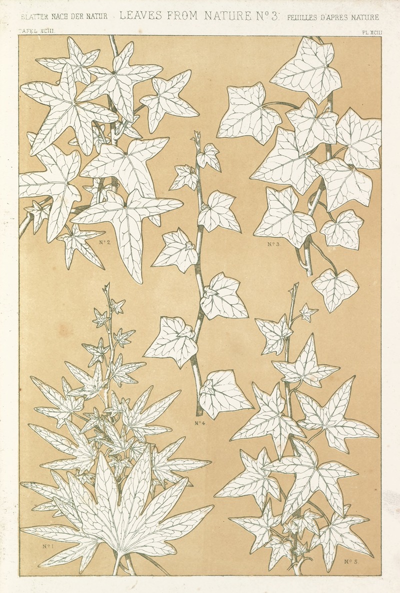 Owen Jones - Leaves from Nature No.3