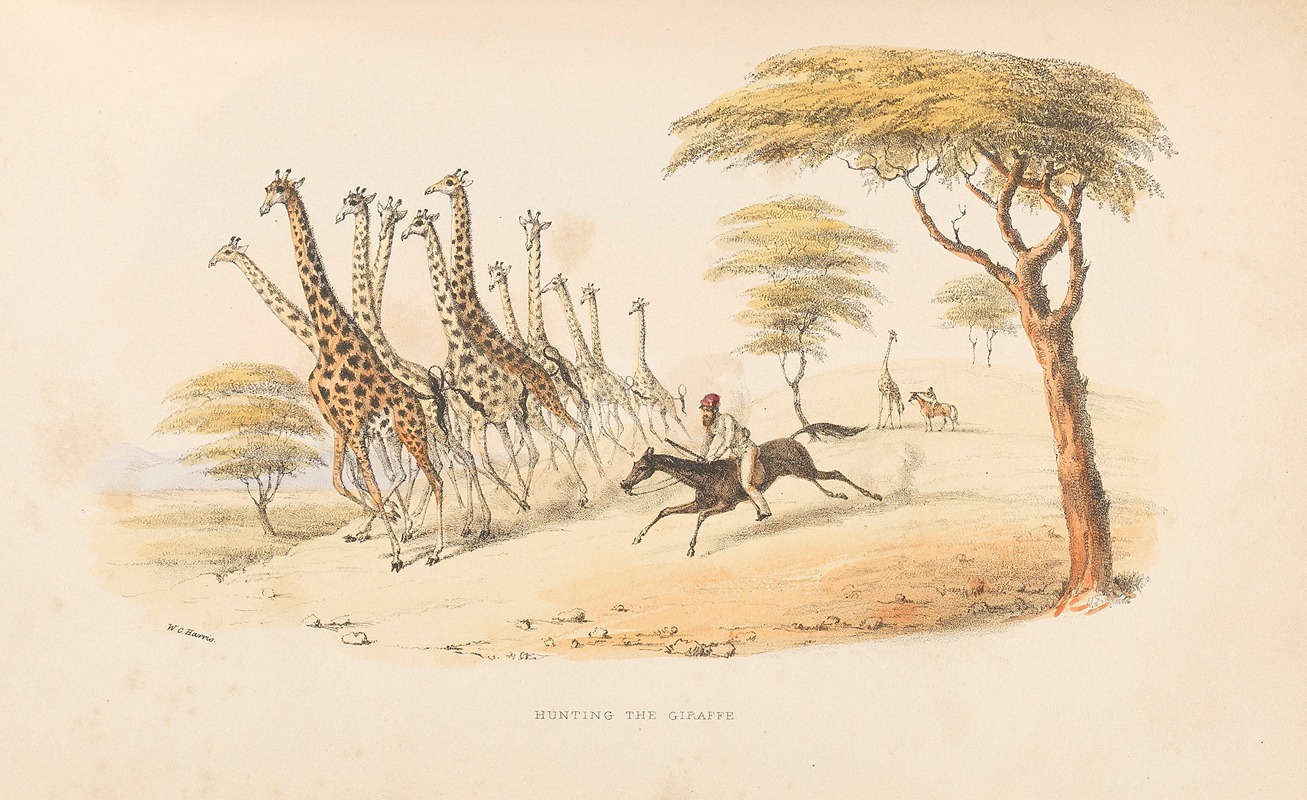 William Cornwallis Harris - The wild sports of Southern Africa