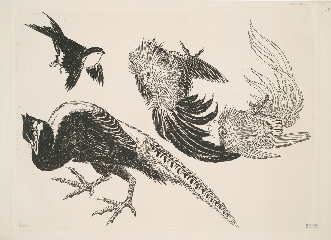 Félix Bracquemond - Faisans, oiseaux