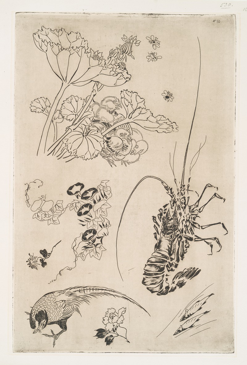 Félix Bracquemond - Langouste, plantes avec oiseaux