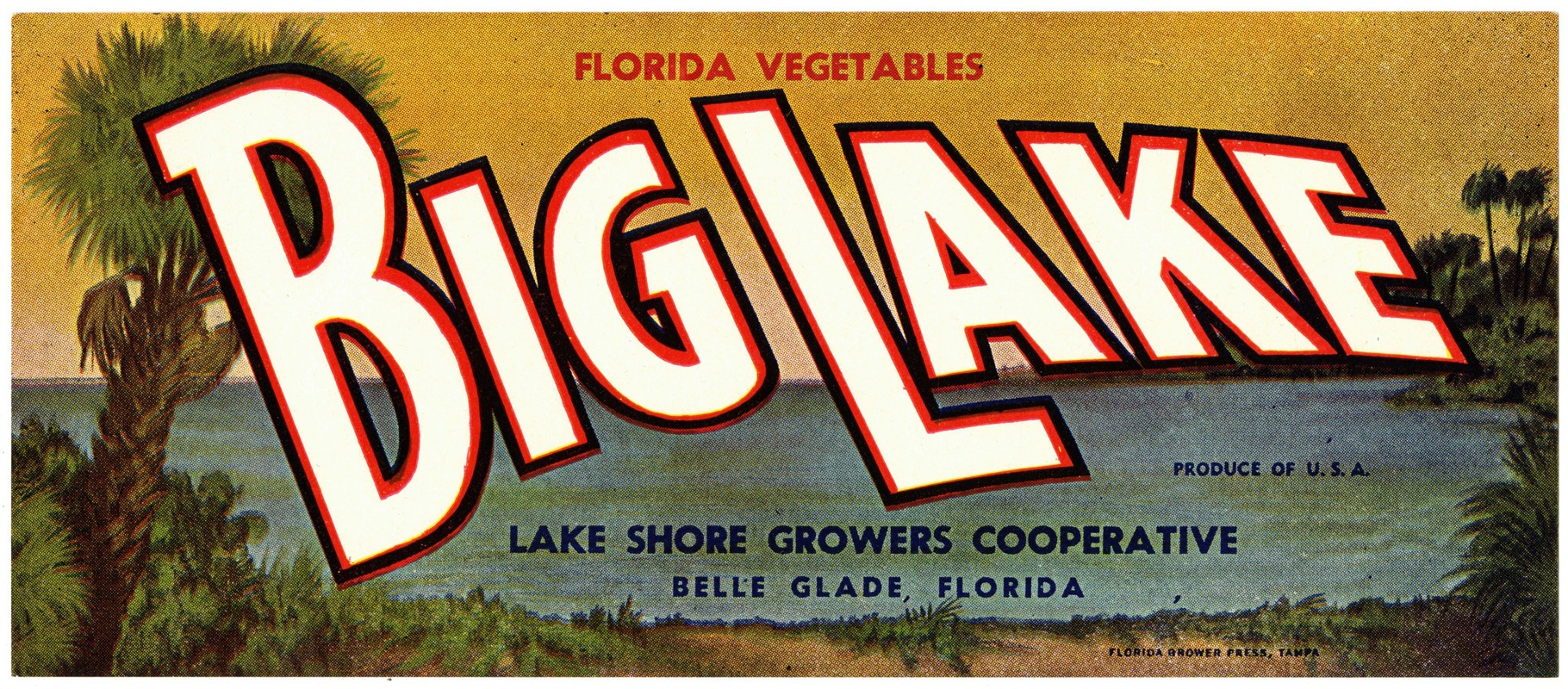 Anonymous - Big Lake Florida Vegetables Label