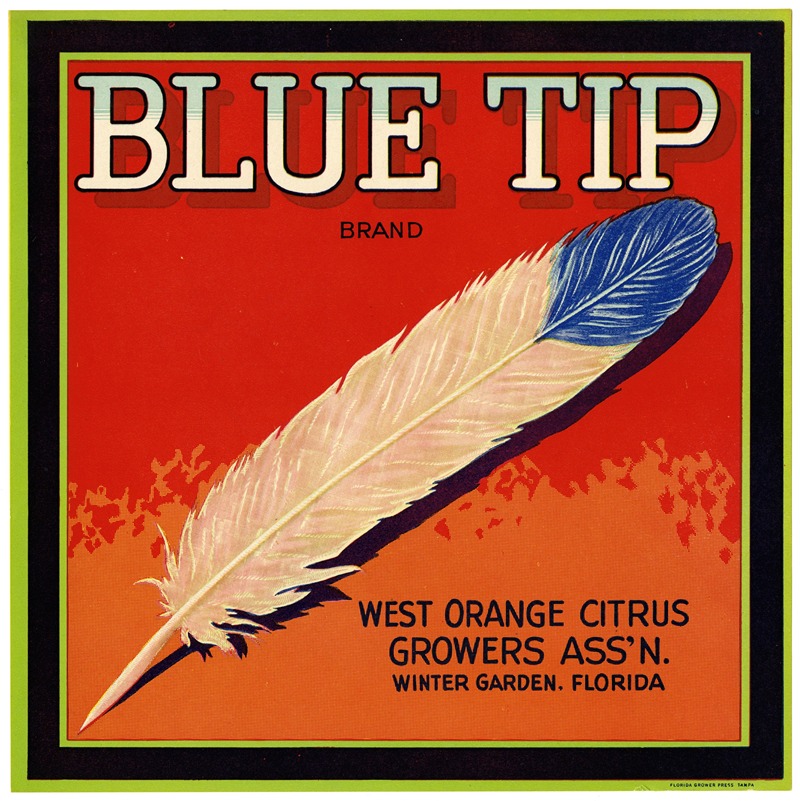 Anonymous - Blue Tip Brand Citrus Label