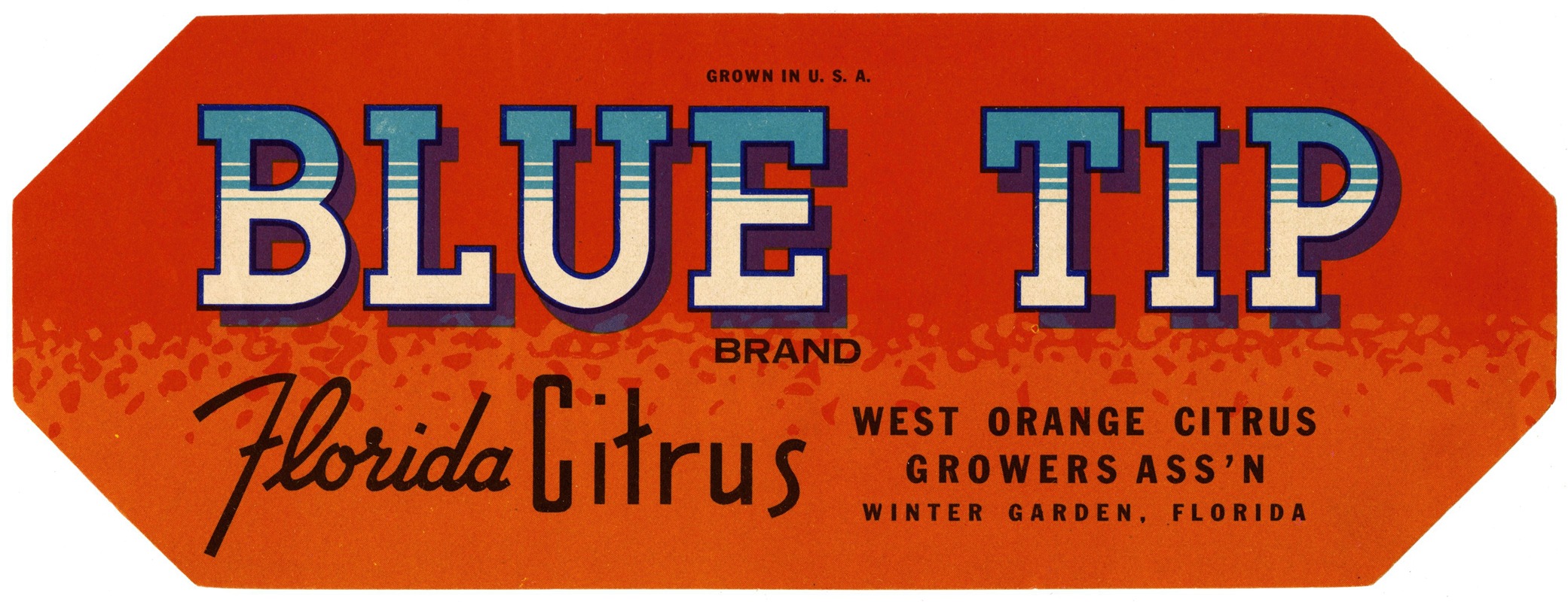 Anonymous - Blue Tip Brand Florida Citrus Label