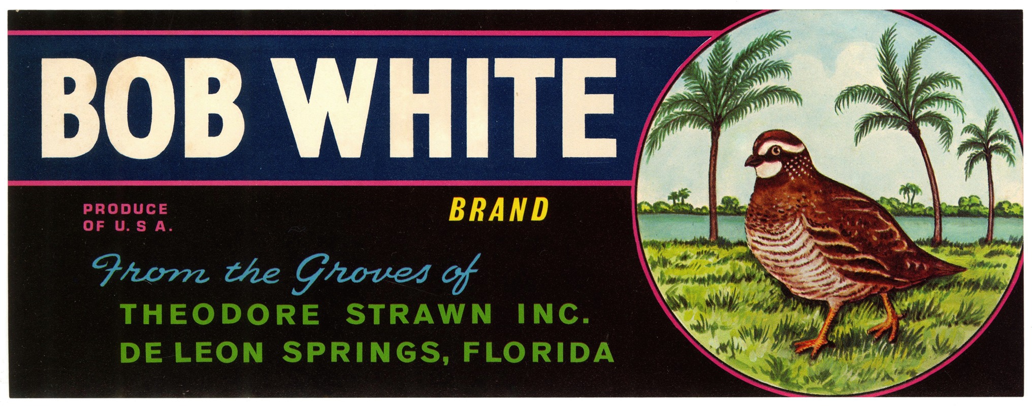 Anonymous - Bob White Brand Citrus Label