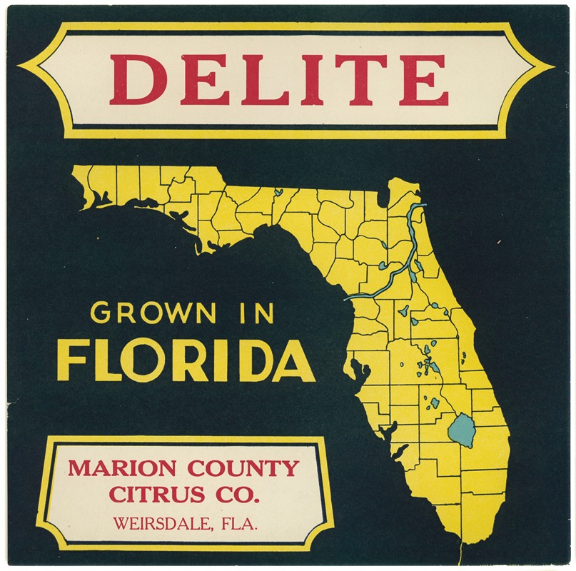 Anonymous - Citrus Label for Delite – Black and Yellow