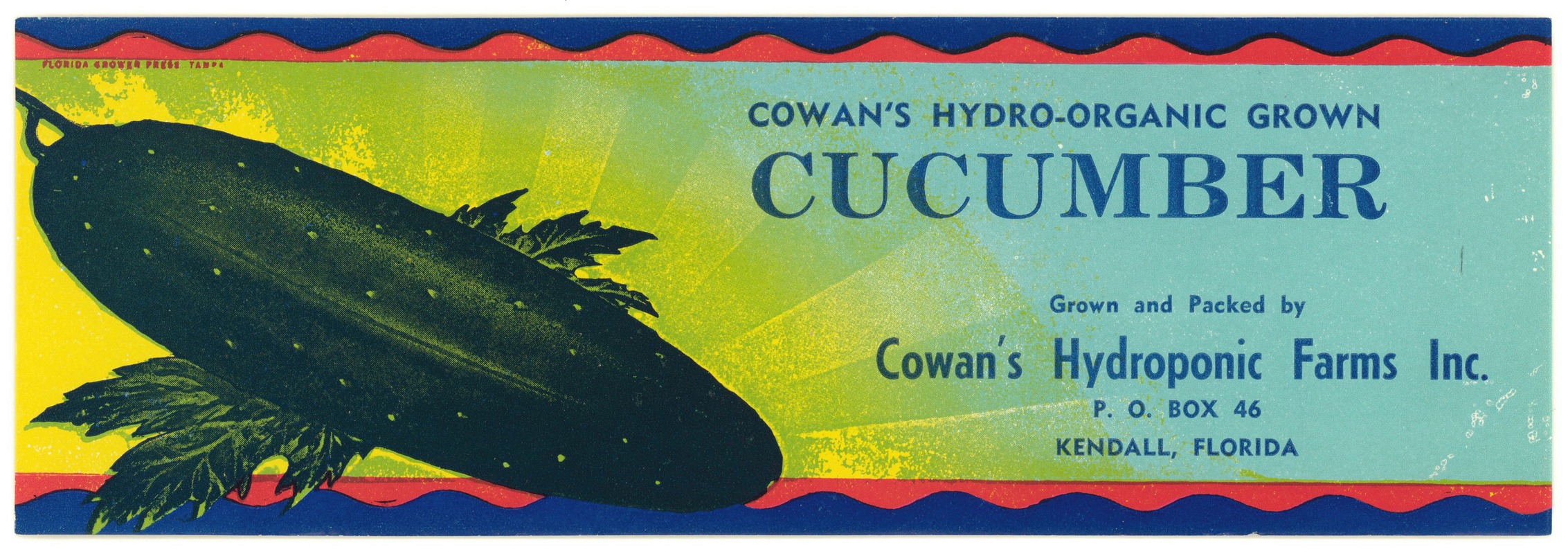Anonymous - Cowan’s Hydro-Organic Grown Cucumber Label