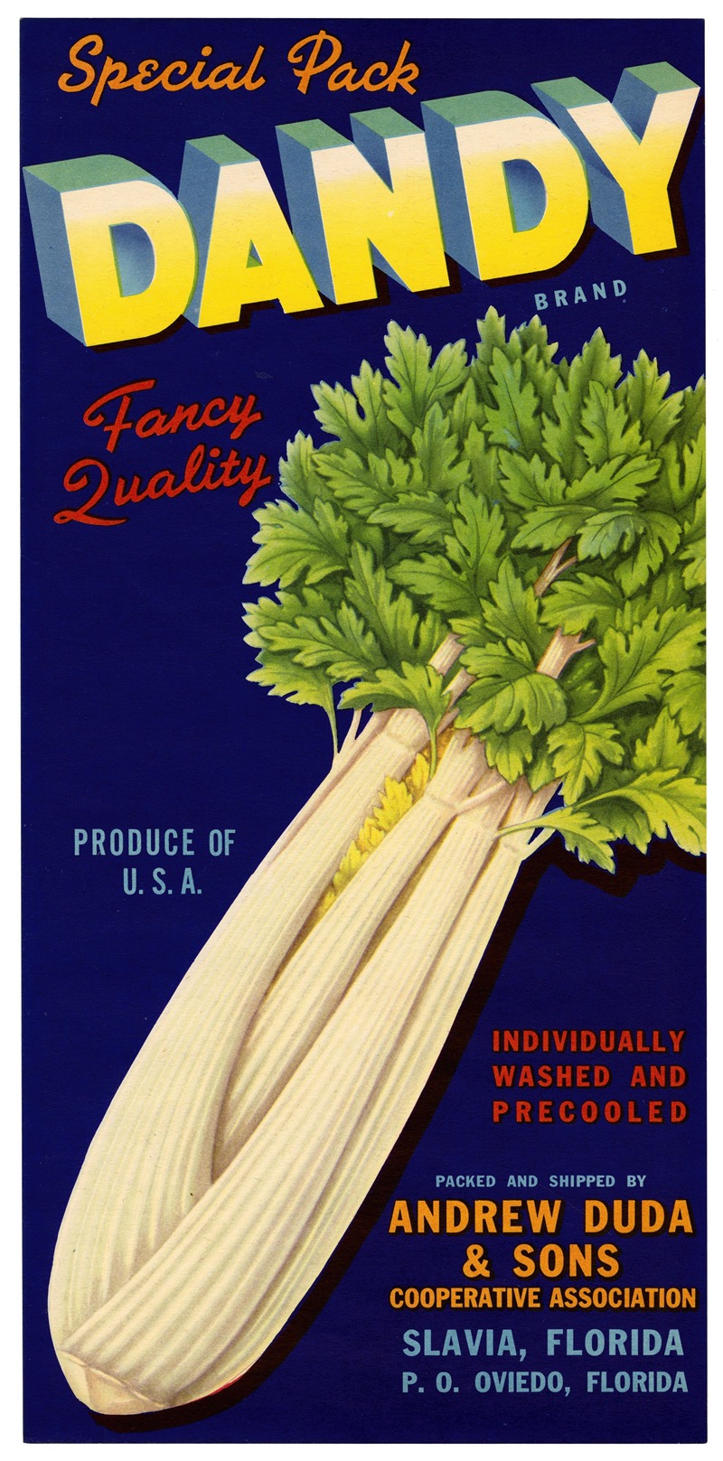 Anonymous - Dandy Brand Celery Label