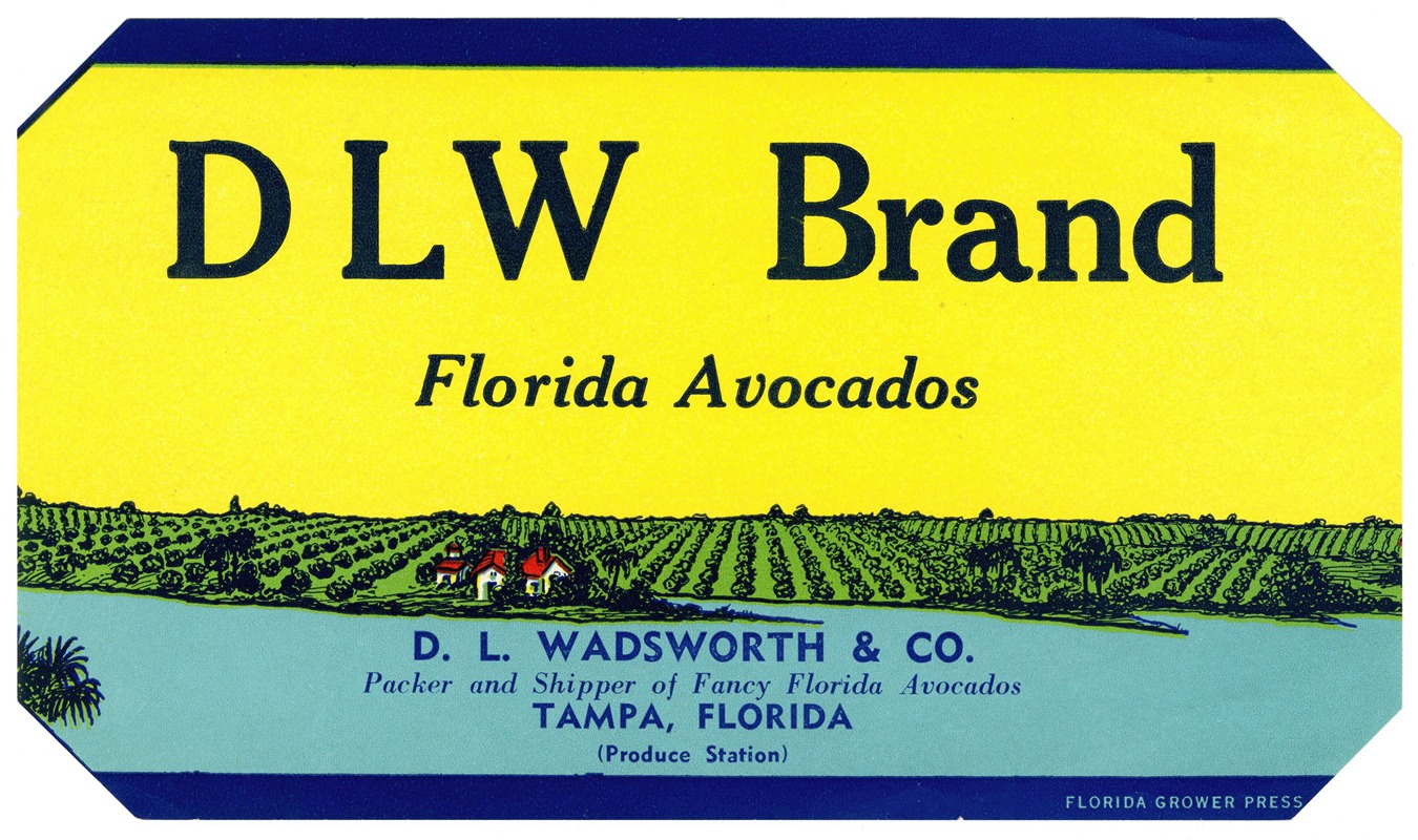 Anonymous - DLW Brand Florida Avocados Label