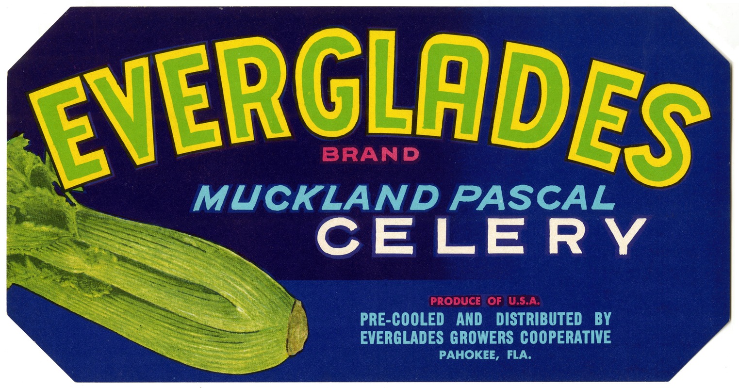 Anonymous - Everglades Brand Muckland Pascal Celery Label