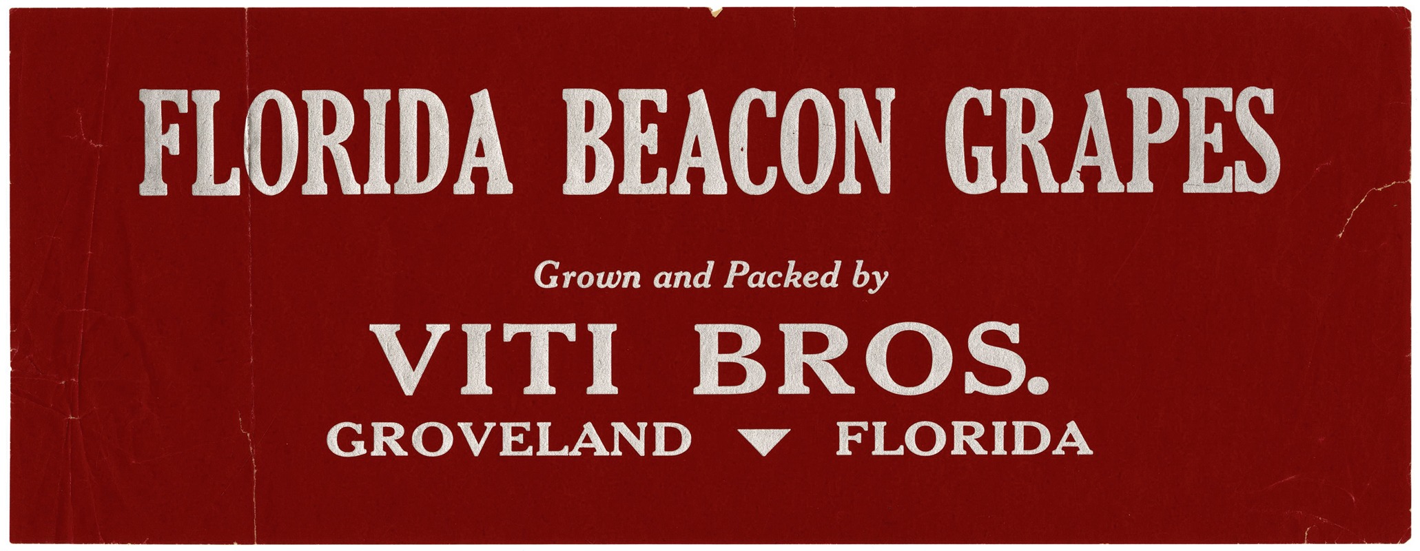 Anonymous - Florida Beacon Grapes Label